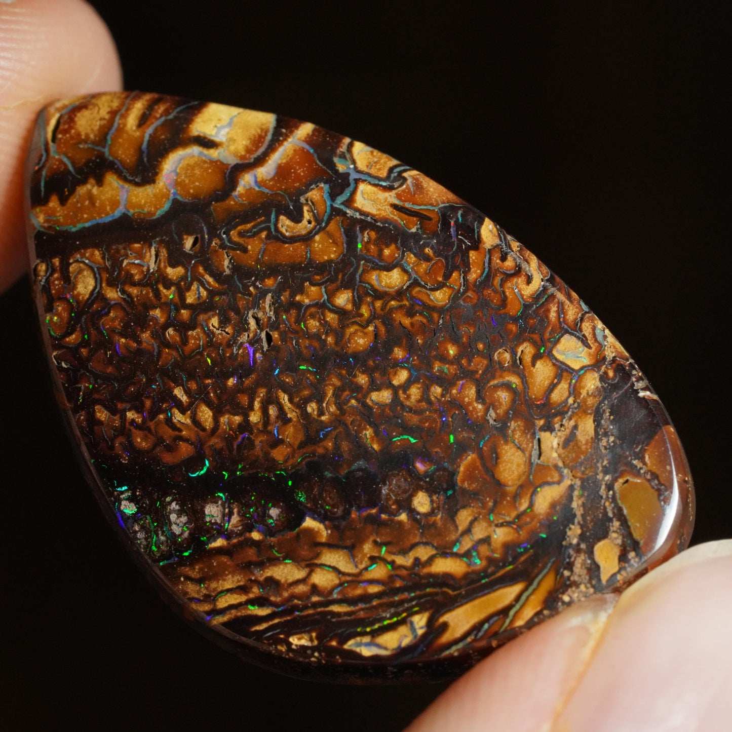 Boulder Opal Cut Stone