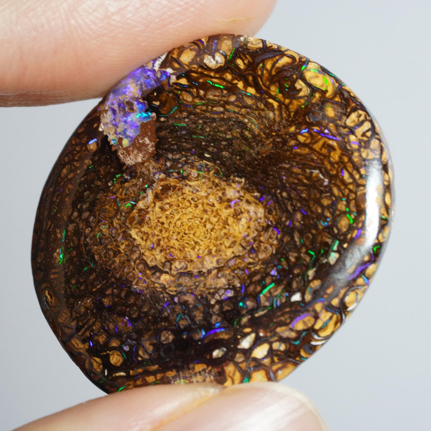 Boulder Opal Cut Stone