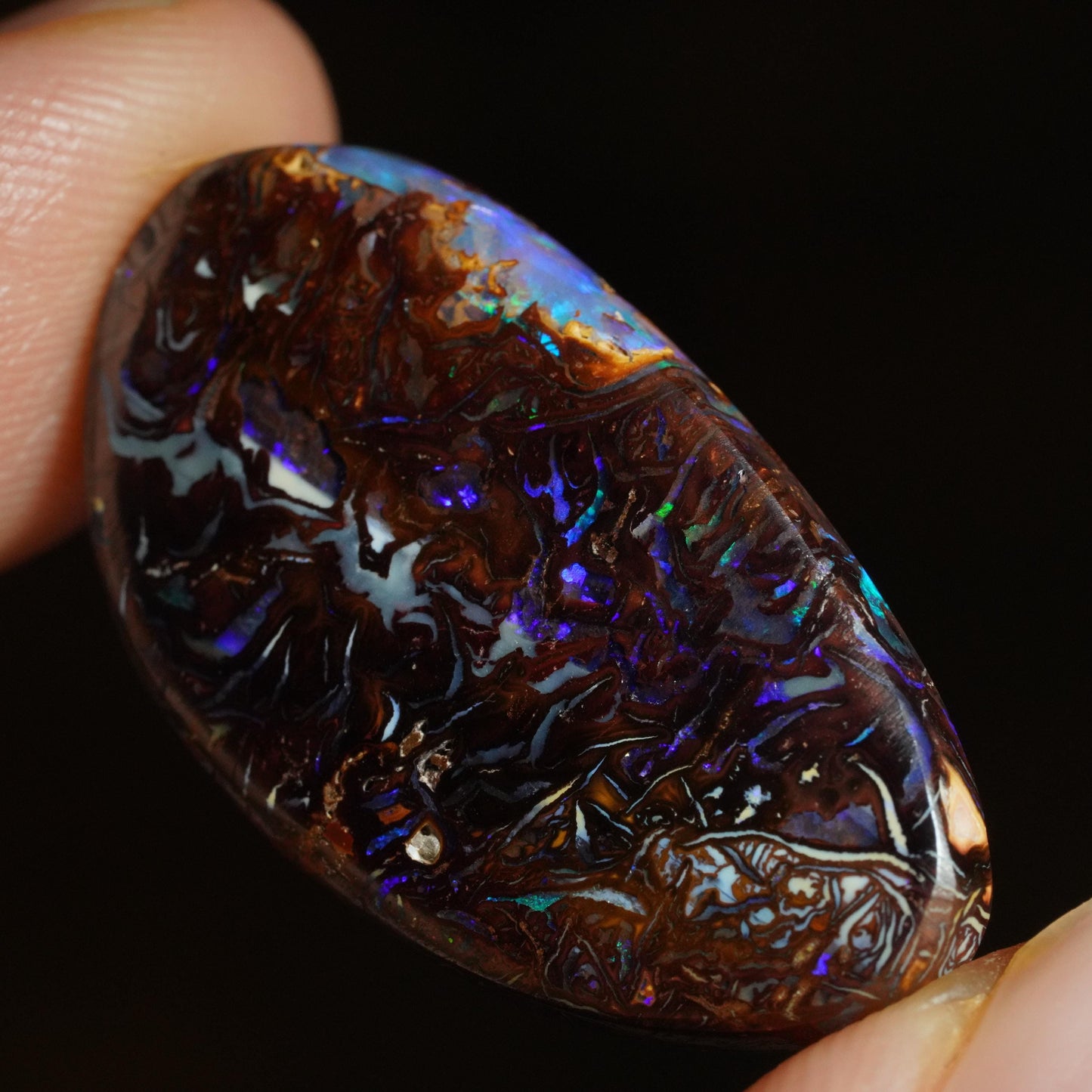 Boulder Opal Cut Stone
