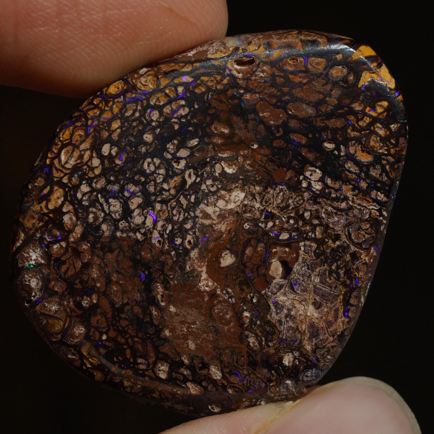 Boulder Opal Cut Stone