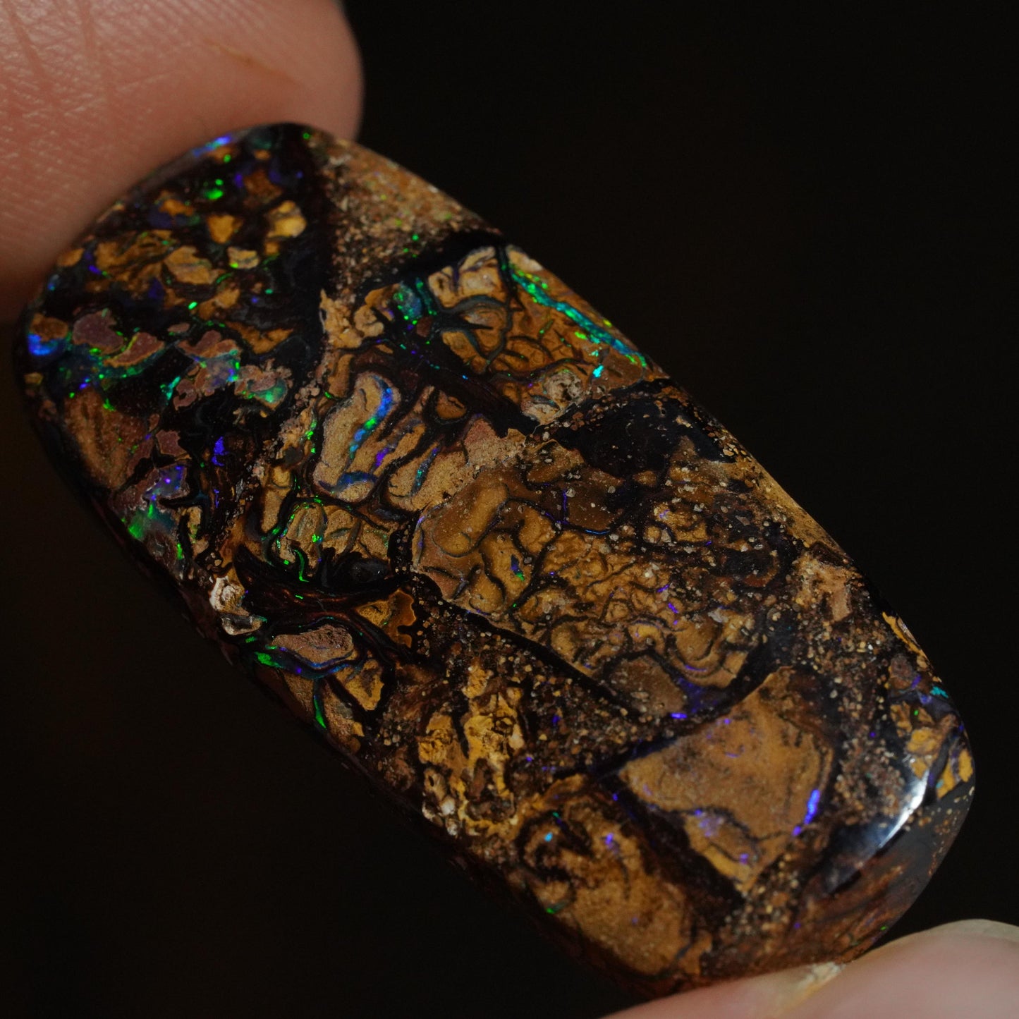 Boulder Opal Cut Stone