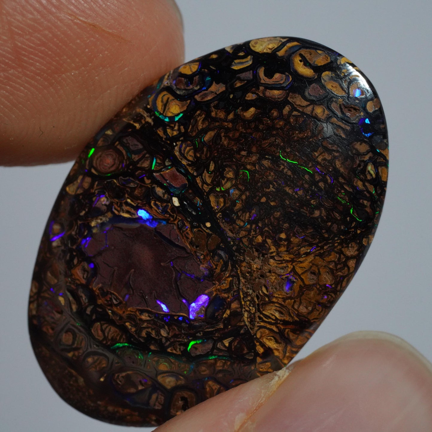 Boulder Opal Cut Stone