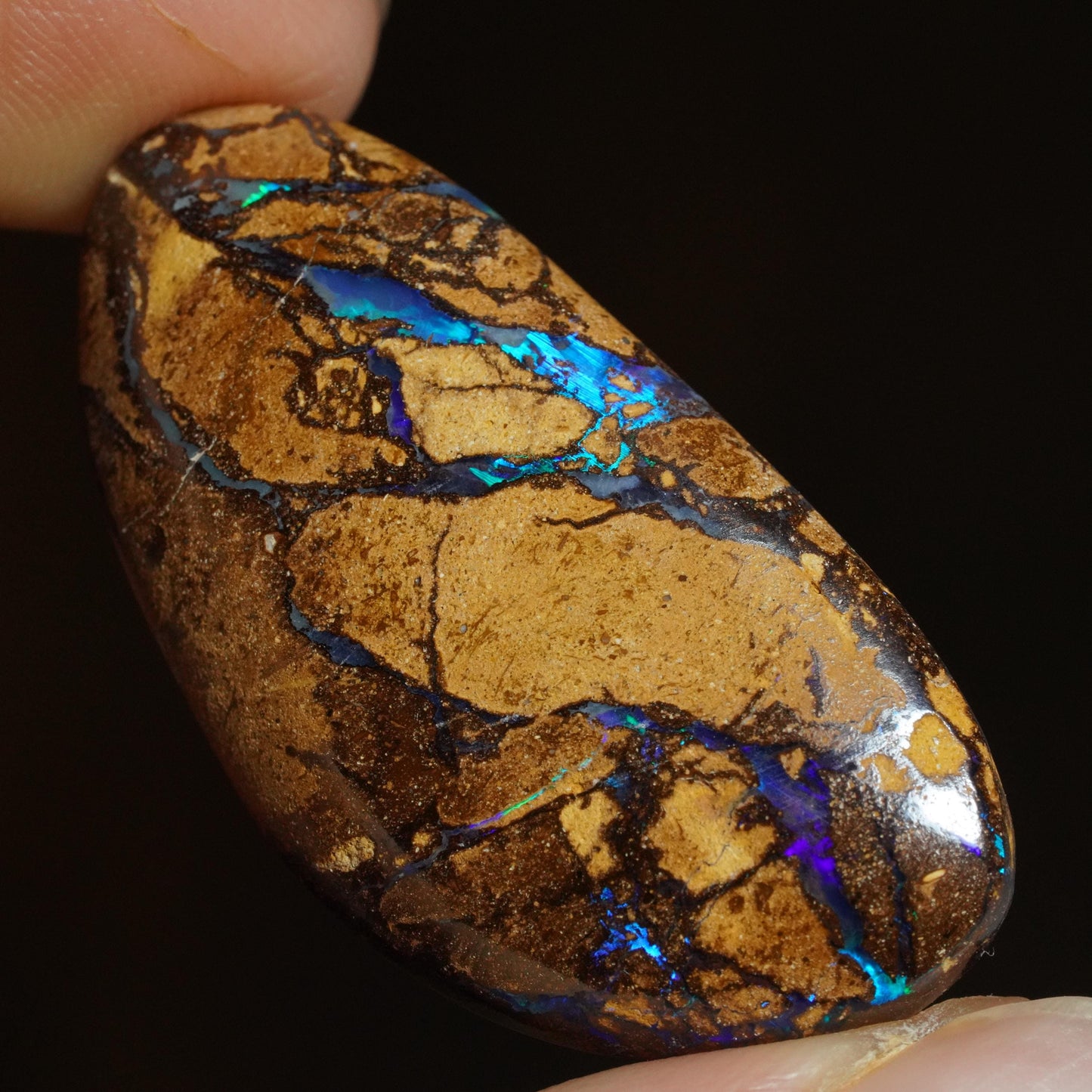 Boulder Opal Cut Stone