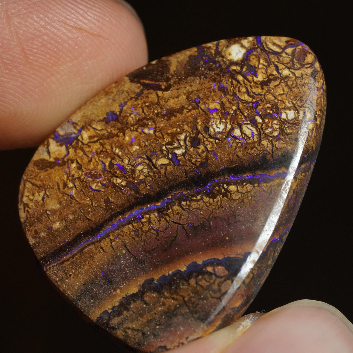 Boulder Opal Cut Stone