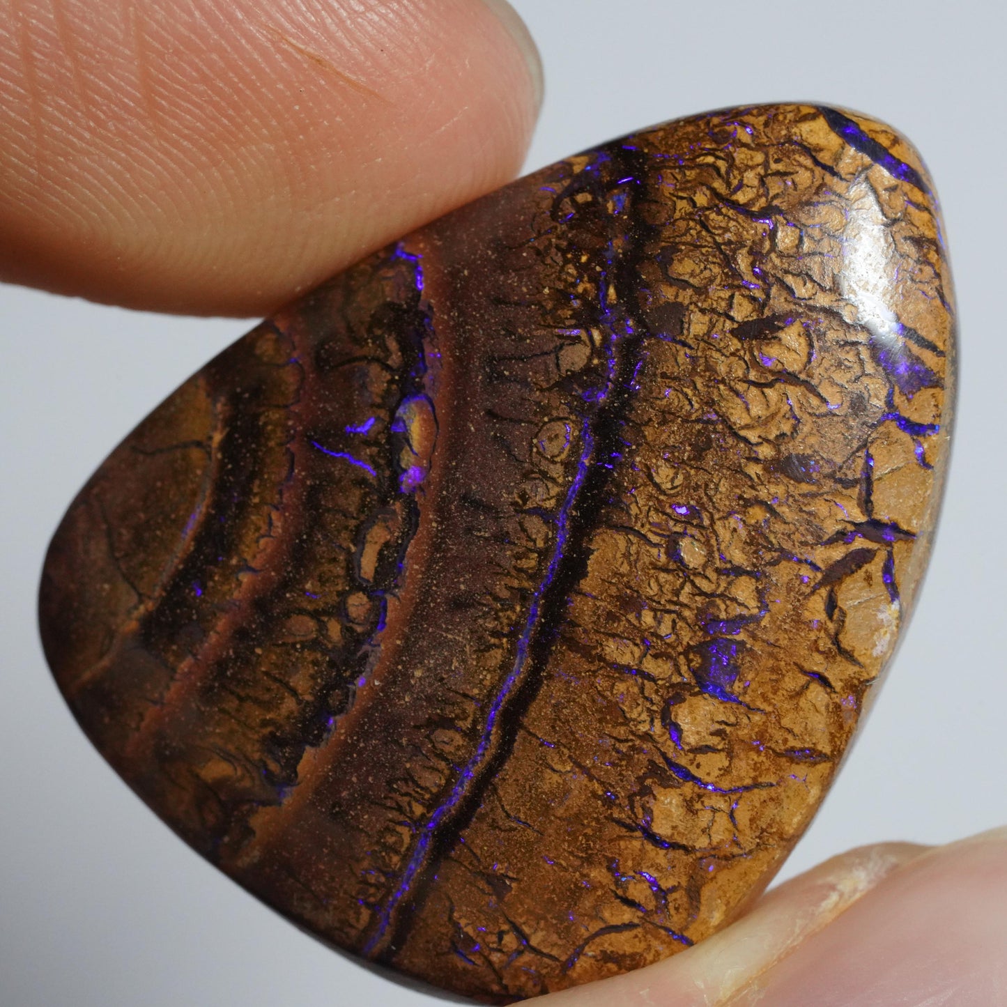 Boulder Opal Cut Stone