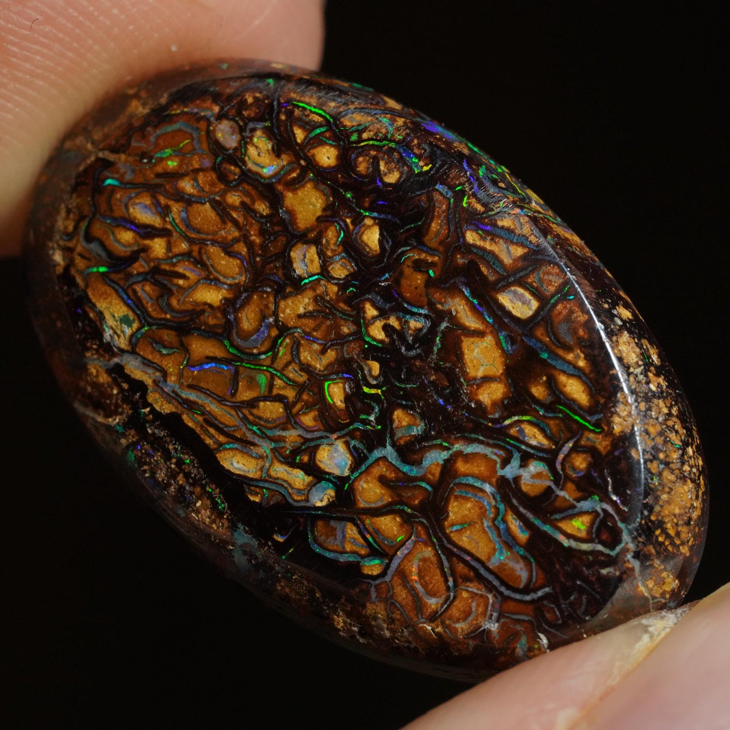 Boulder Opal Cut Stone