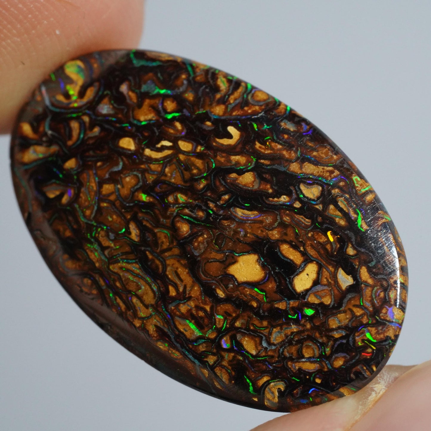 Boulder Opal Cut Stone