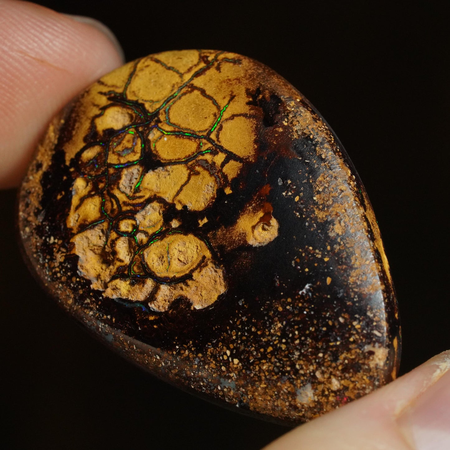 Boulder Opal Cut Stone
