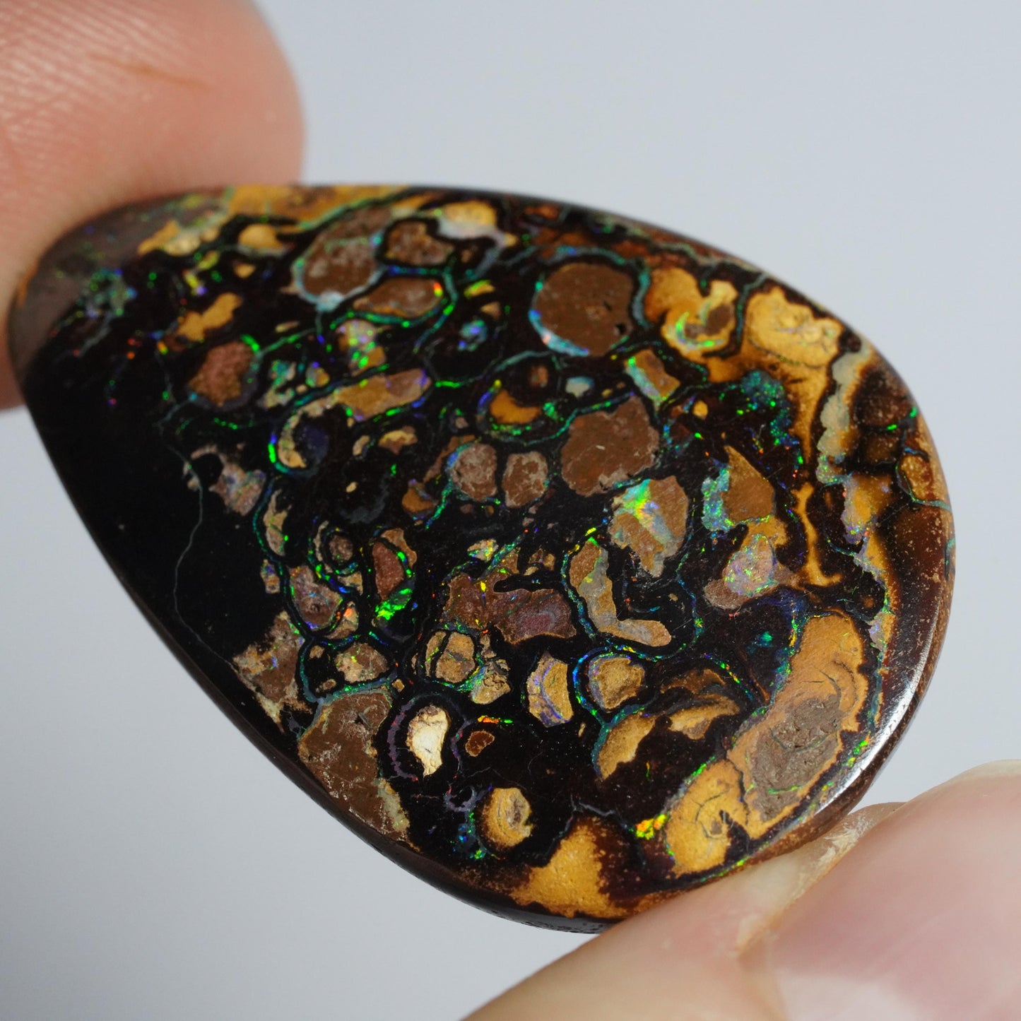Boulder Opal Cut Stone