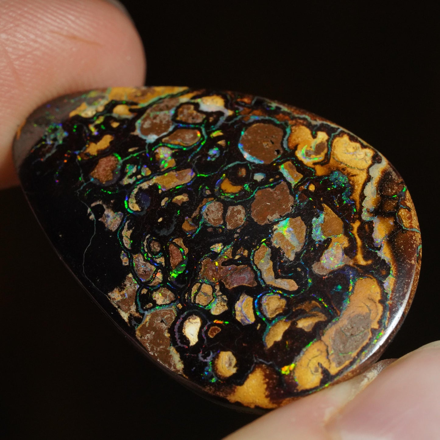 Boulder Opal Cut Stone