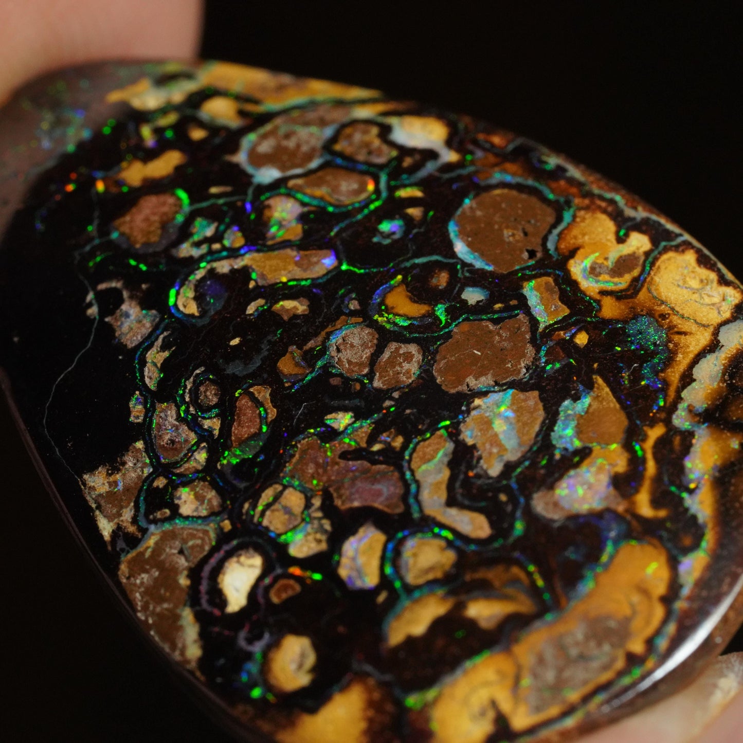 Boulder Opal Cut Stone