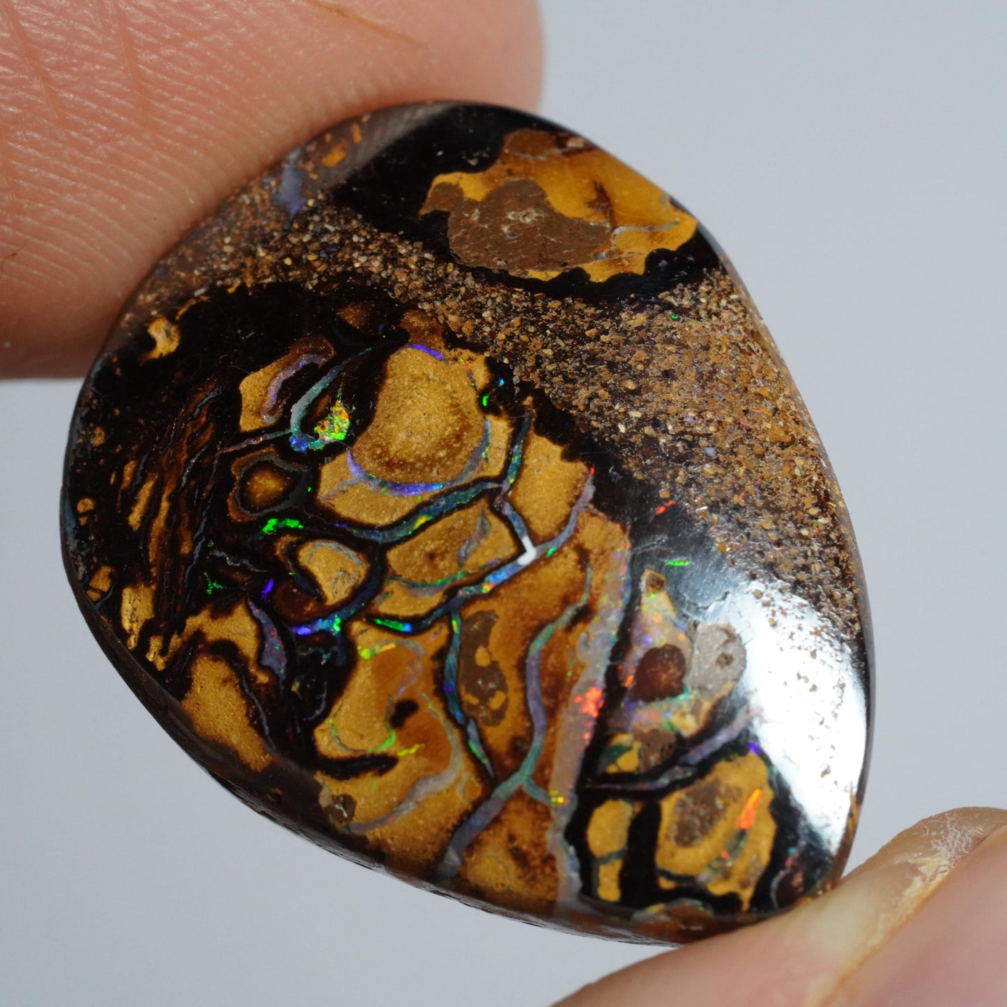 Boulder Opal Cut Stone