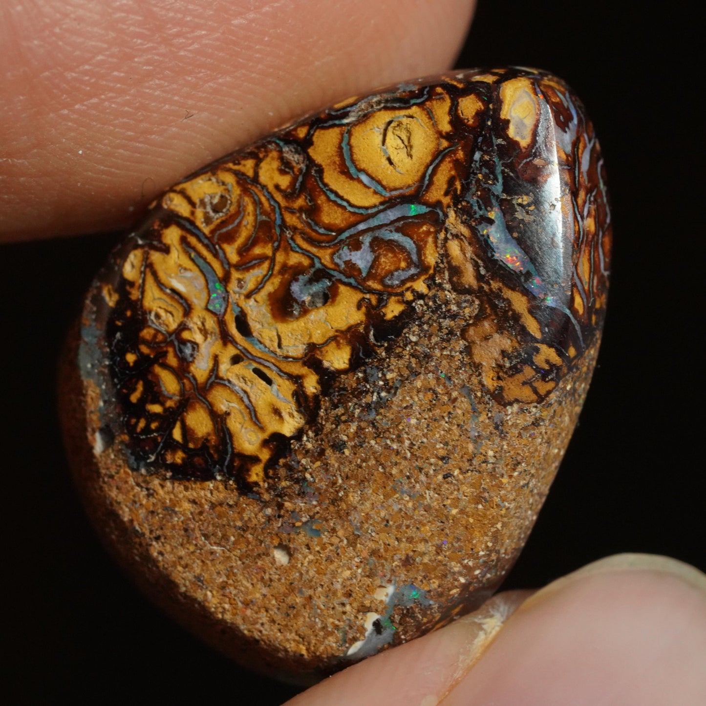 Boulder Opal Cut Stone