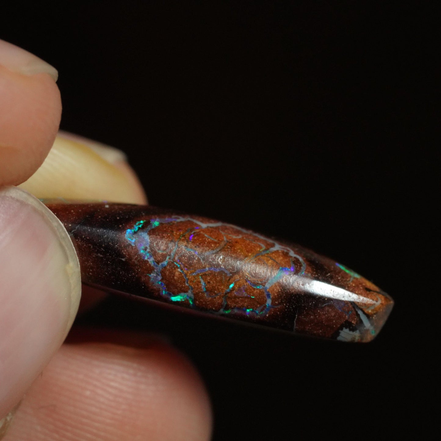 Boulder Opal Cut Stone