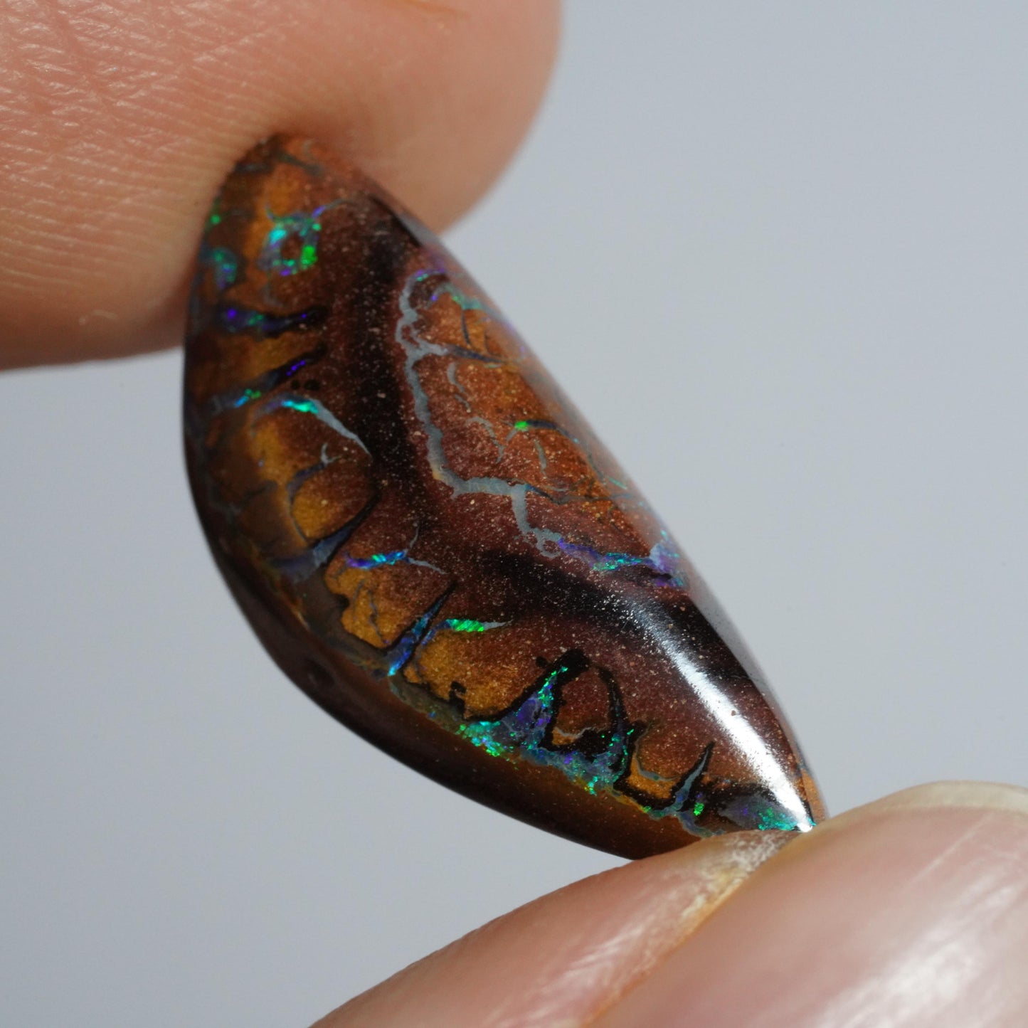 Boulder Opal Cut Stone