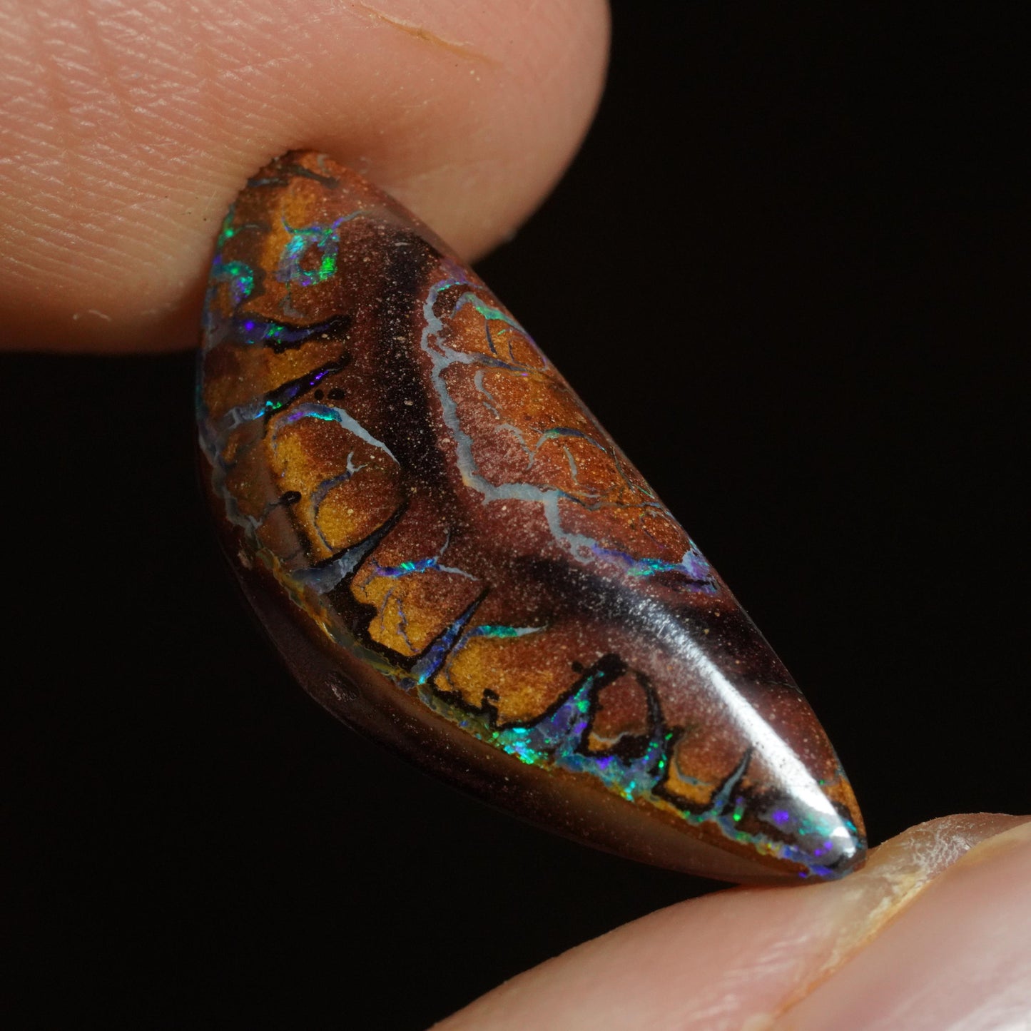 Boulder Opal Cut Stone
