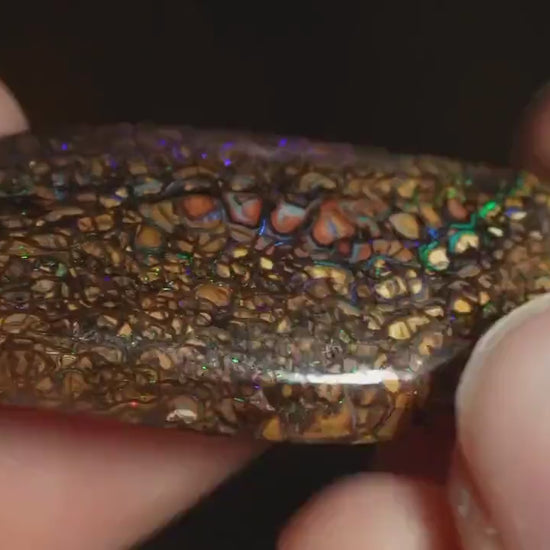 Boulder Opal Cut Stone