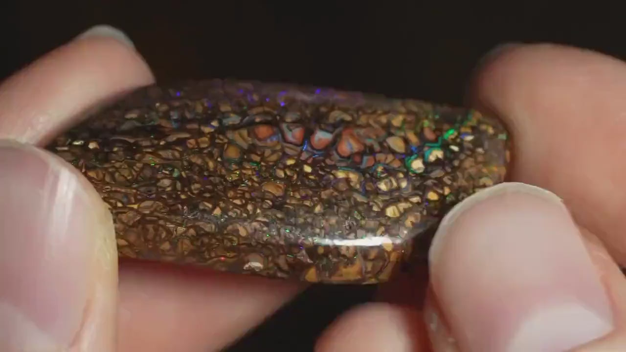 Boulder Opal Cut Stone