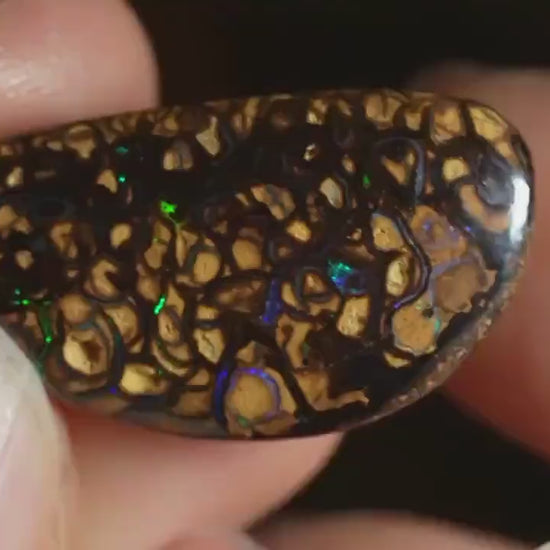 Boulder Opal Cut Stone