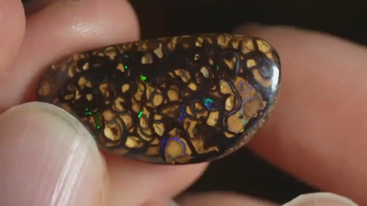 Boulder Opal Cut Stone