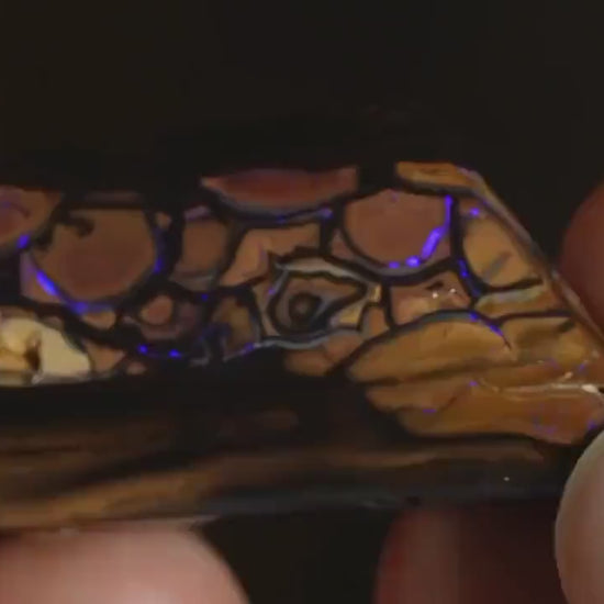 Boulder Opal Cut Stone
