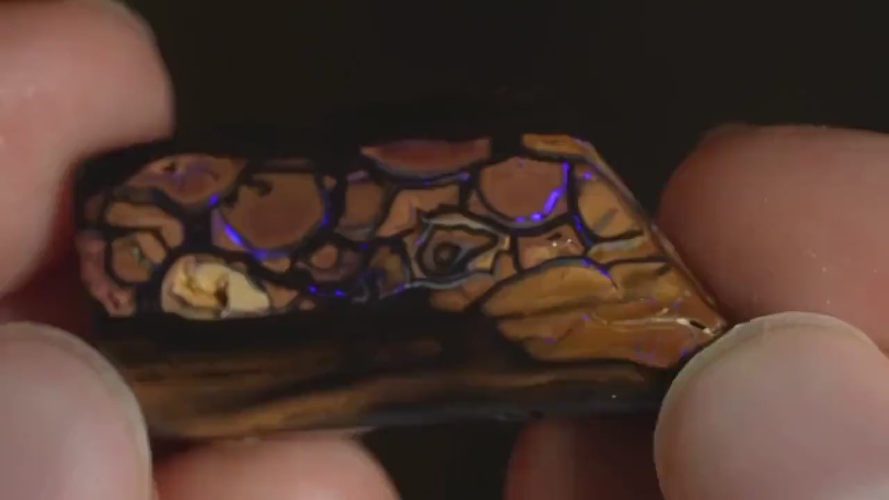 Boulder Opal Cut Stone