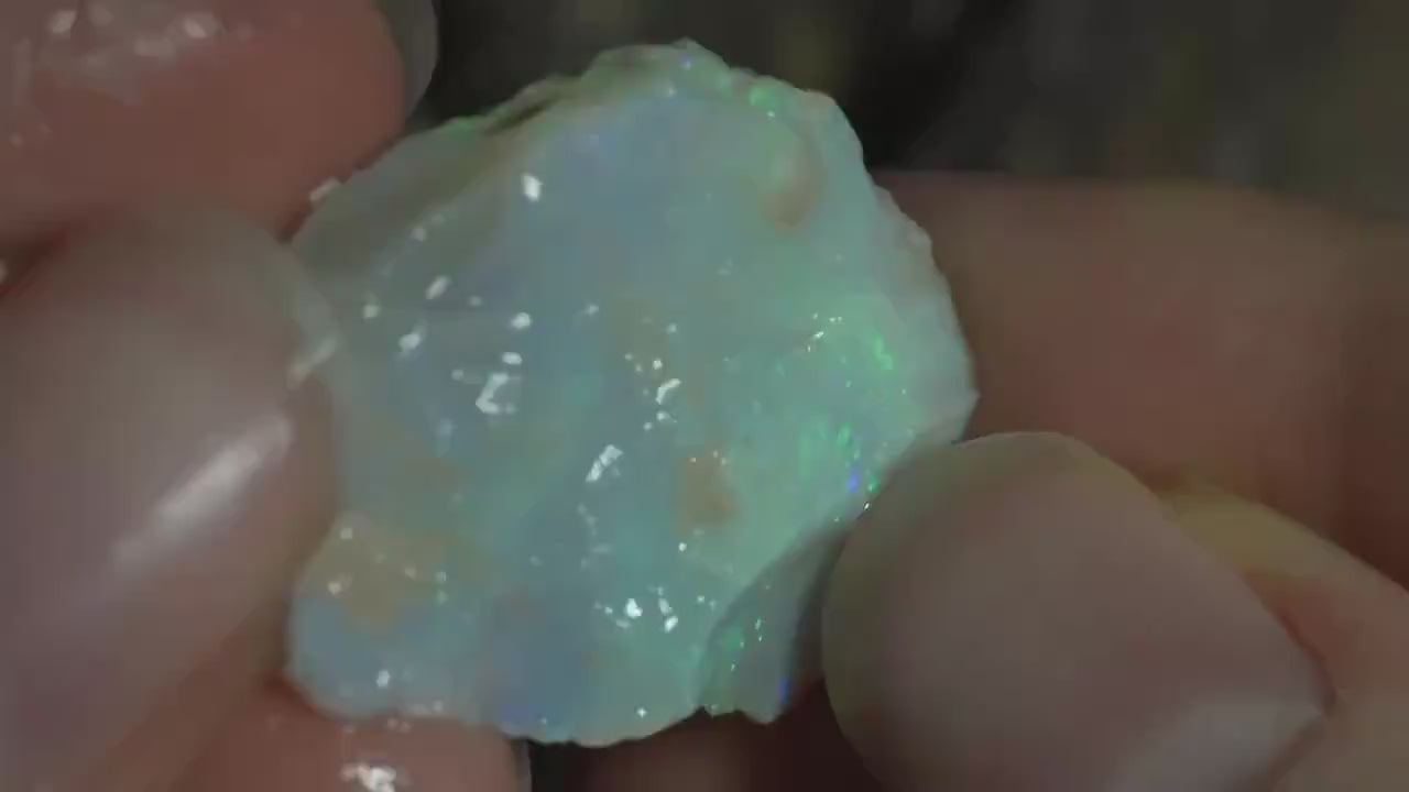 Rough Australian Opal