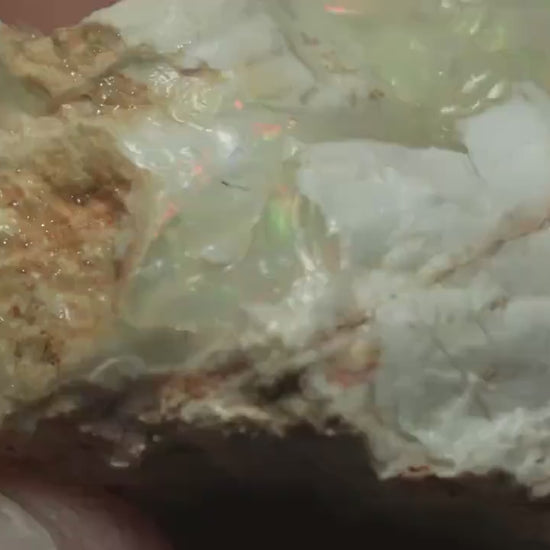 Petrified Opalised Wood Fossil Specimen