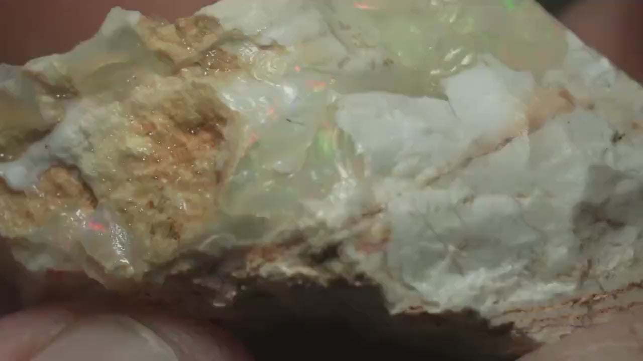 Petrified Opalised Wood Fossil Specimen