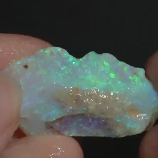 Rough Australian Opal