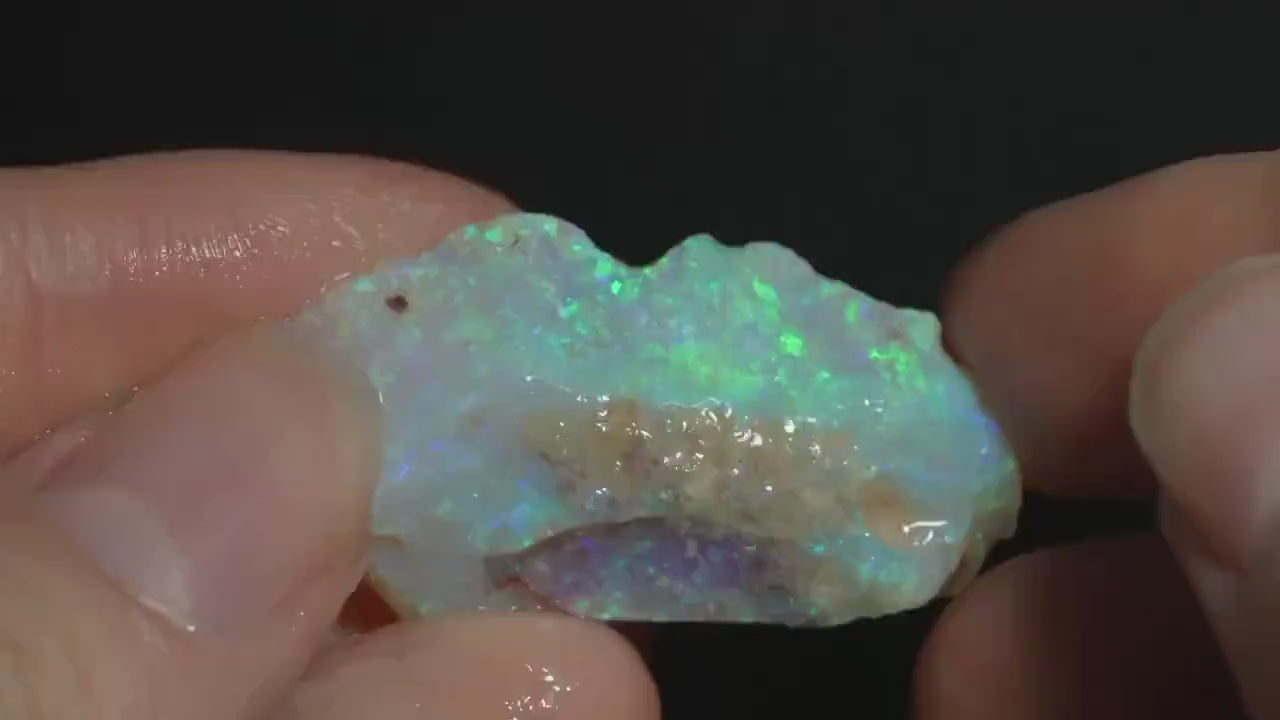 Rough Australian Opal