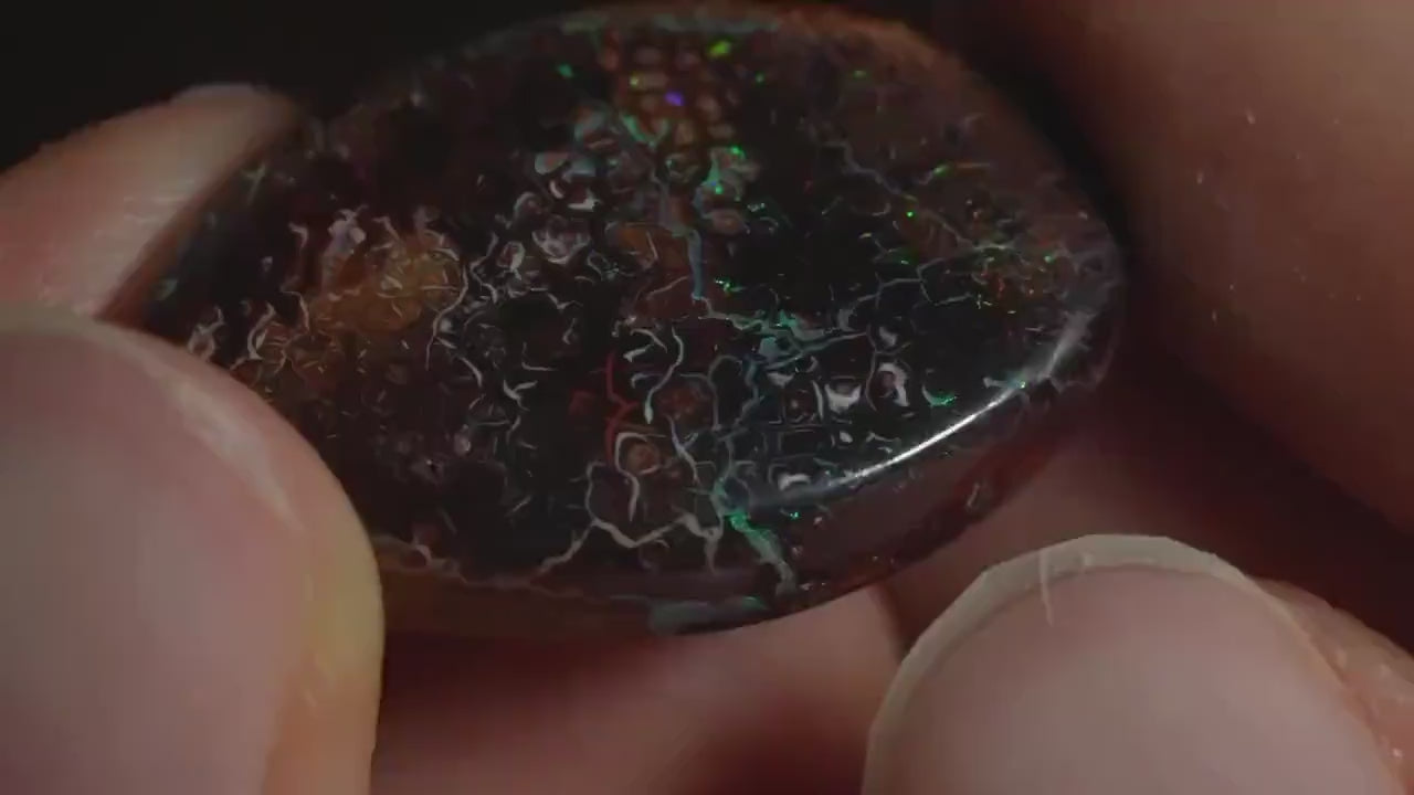 Boulder Opal Cut Stone