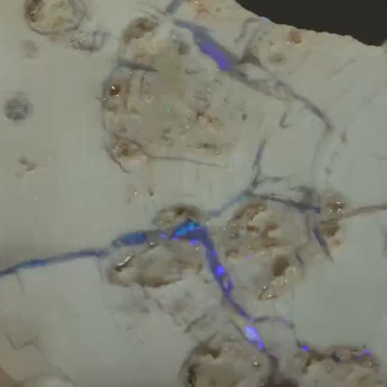 Petrified Opalised Wood Fossil Specimen