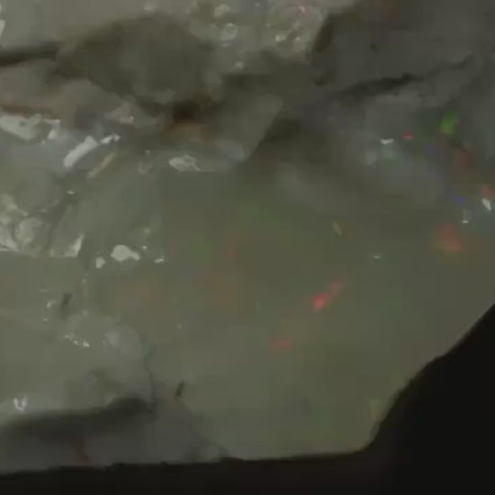Petrified Opalised Wood Fossil Specimen