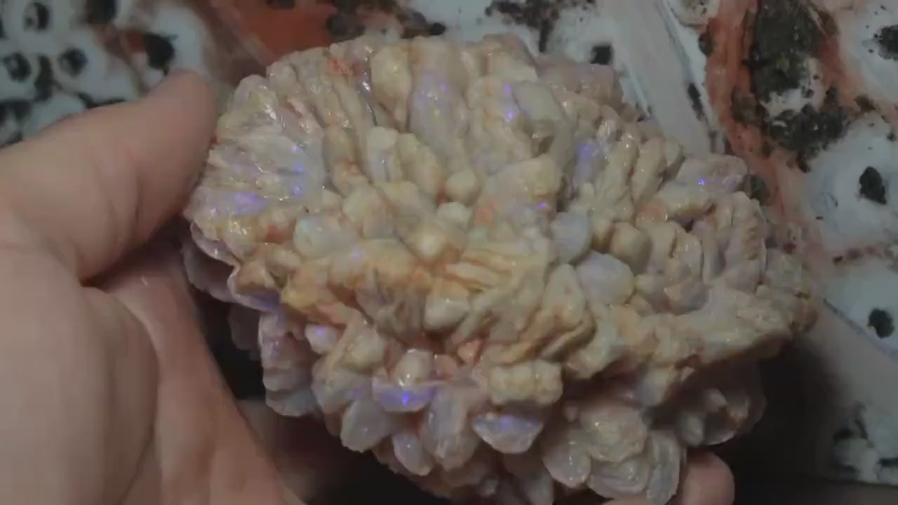 Opal Pineapple